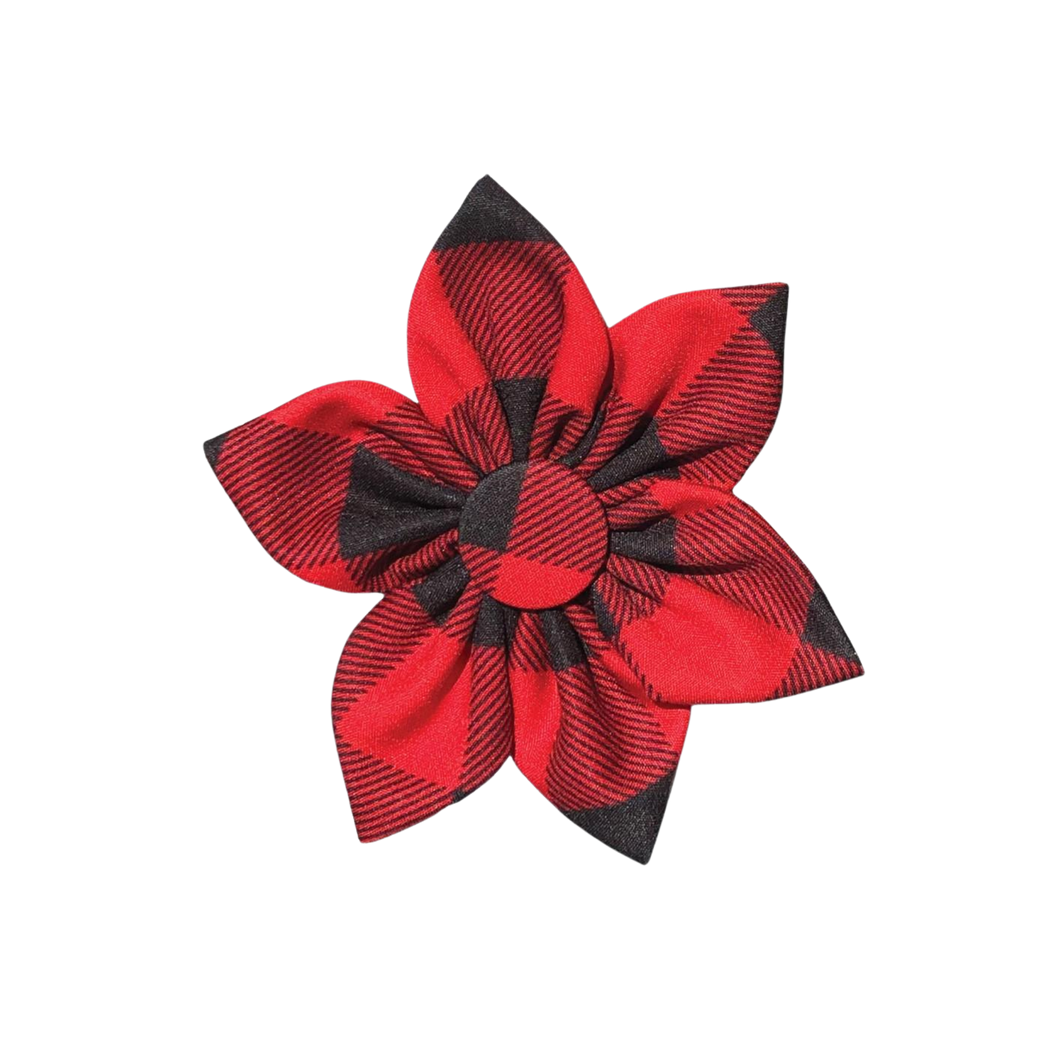 Buffalo Check Pinwheel