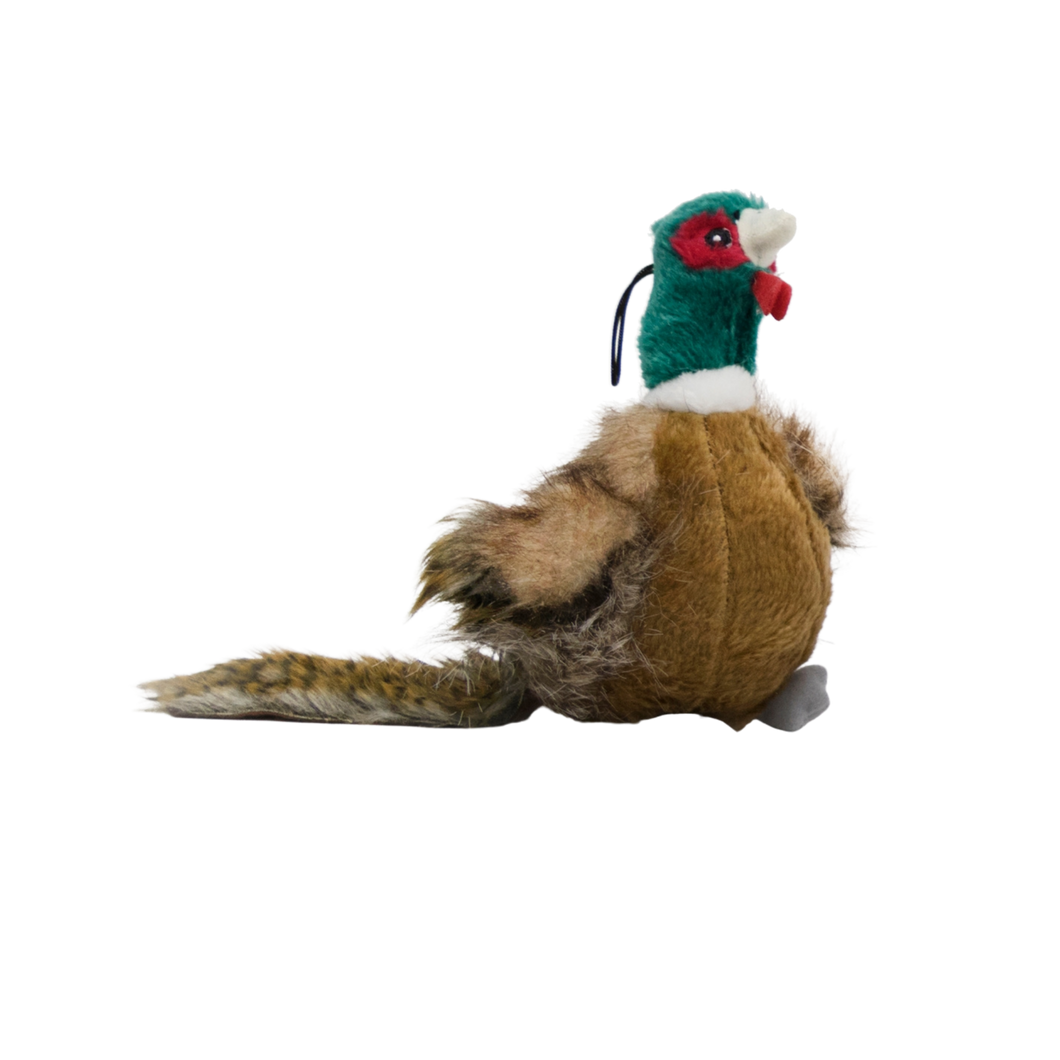 Ball Bird Pheasant